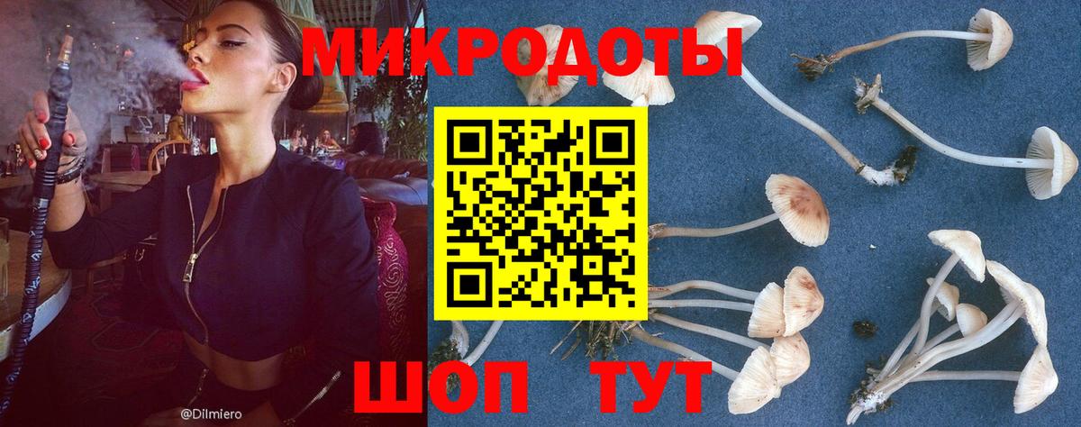 Псилоцибиновые грибы Magic Shrooms Верхняя Салда